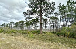 SW 100th Pl lot: 48, Cedar Key, FL 32625