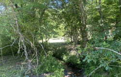 Running Bear Road lot: 7, Murphy, NC 28906