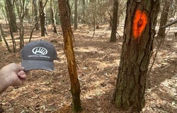 Hwy 201, Brundidge, AL 36010