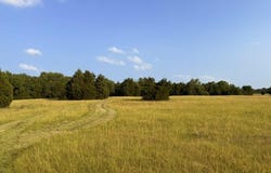 County Road 2500, Eustace, TX 75124