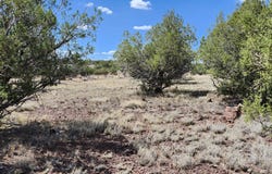 467 W Edgewood Drive, Williams, AZ 86046