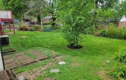 3571 Wright Avenue, St Ann, MO 63074
