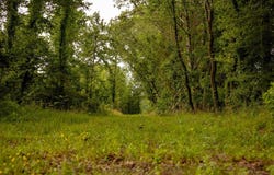 1017 Insemore Road, MS 39086