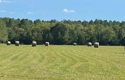 MS Hwy 14W, Macon, MS 39341