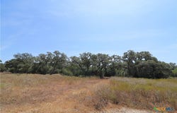 Danforth Road, Goliad, TX 77963
