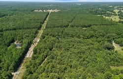Lindsey Rd., Big Sandy, TX 75755