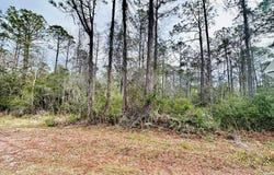 1546 Hwy 67, Carrabelle, FL 32322