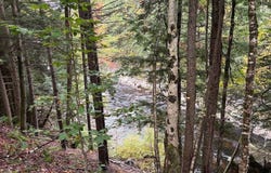 St Rt 8, Cold Brook, NY 13324