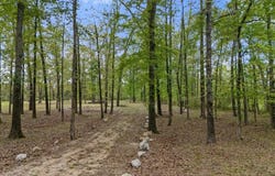 341 White Fox Lane, Broken Bow, OK 74728