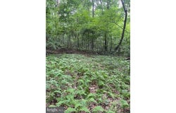 TILLAMOOK LANE lot: 19, SAXTON, PA 16678