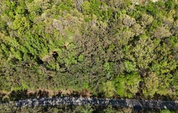 Hobby Coop Road, THAXTON, MS 38871