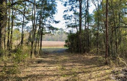 1 Westbury Road, Saint George, SC 29477
