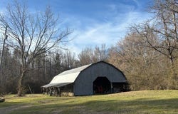 County Road 35, Carrollton, MS 38917
