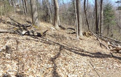 Mountaineer Way lot: 9, Fancy Gap, VA 24328