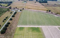 Hilton Road, Maurice, LA 70555