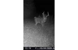 Pearl Road, MO 64646