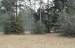 Greenfields Road, Moss Point, MS 39562