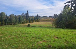 33535 SE BLUFF Rd, Boring, OR 97009