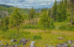 312 Hidden Valley Lane, Weippe, ID 83553