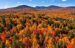 Sullivan Road, Stark, NH 03582