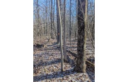 East Road, Montrose, MI 48457