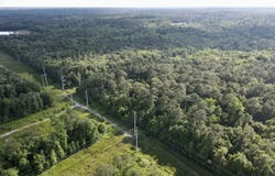 Wolfridge Road, Mobile, AL 36618