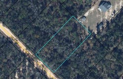Grove Lane, FL 32448