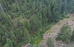524 Jackelope Lane, Livermore, CO 80536