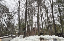 4 Osprey Lane lot: 4-5, Lewiston, MI 49756