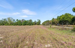 NW 150th St, Trenton, FL 32693