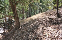 Edelweiss Drive, Crestline, CA 92325