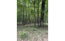 Wayne Road lot: 127, Pentwater, MI 49449