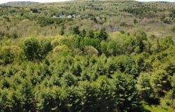 4 Goose River Estates, Swanville, ME 04915