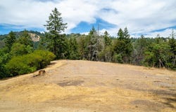 680 Hartman Creek, BOULDER CREEK, CA 95006