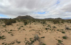 Mallow, Landers, CA 92285
