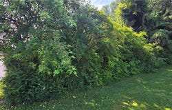 139 Somerset Ave, Jerome, PA 15937