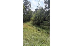 175 Coby Lane, Johnson City, TN 37615