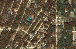 NE 3RD Place, Williston, FL 32696