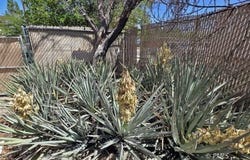 217 W Willow, Page, AZ 86040
