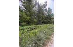 871 Zipf Street, Pellston, MI 49769