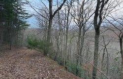971 Scenic River Rd, Madisonville, TN 37354