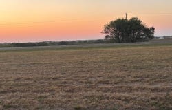 Fm 308 (3rd, Mount Calm, TX 76673