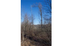 Audubon Road, Sewickley Heights, PA 15143