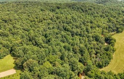 2245 BIG IVY Rd, Savannah, TN 38372