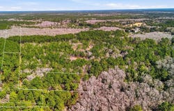 Gertie Lane, Cordesville, SC 29434