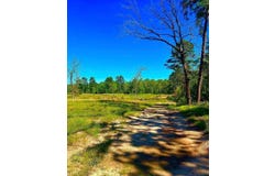 868 County Road 2920, Alba, TX 75410