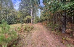8924 Black Brook Road, Webster, WI 54893