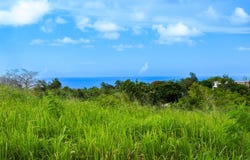 Puente, Camuy, PR 00627