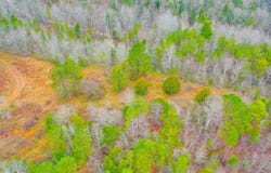 9999 War Fork Road, McKee, KY 40447
