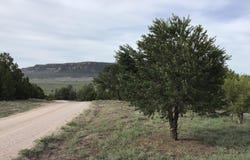 Sunflower Drive lot: 6, Ramah, NM 87321